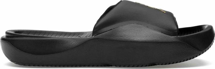 Image du produit Jordan Franchise Slide Black Metallic Gold (41)