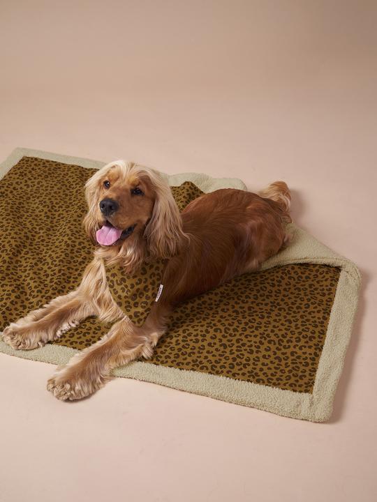 Actual product image Vertbaudet Wendbare Hundedecke, Liegedecke (Dog)