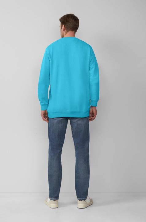 Produktbild s.Oliver Sweatshirt Sweatshirt mit Label-Stickerei (XXL)