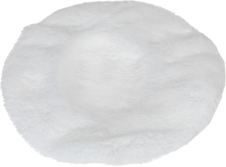 Produktbild FTM Poliermaschine (Exzenterpolierer, 110 W)