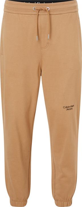 Actual product image Calvin Klein Jeans stacked logo HWK Pan J30J320590 GV7 L (L)