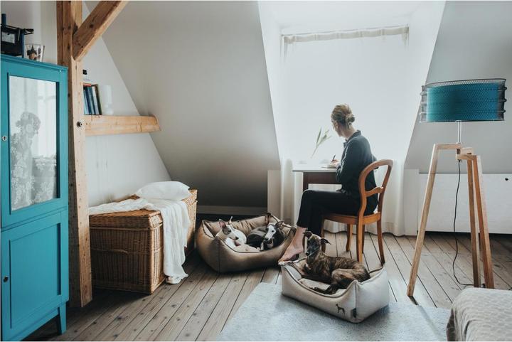 Actual product image Hunter Dog sofa Livingston woven fabric (Dog)