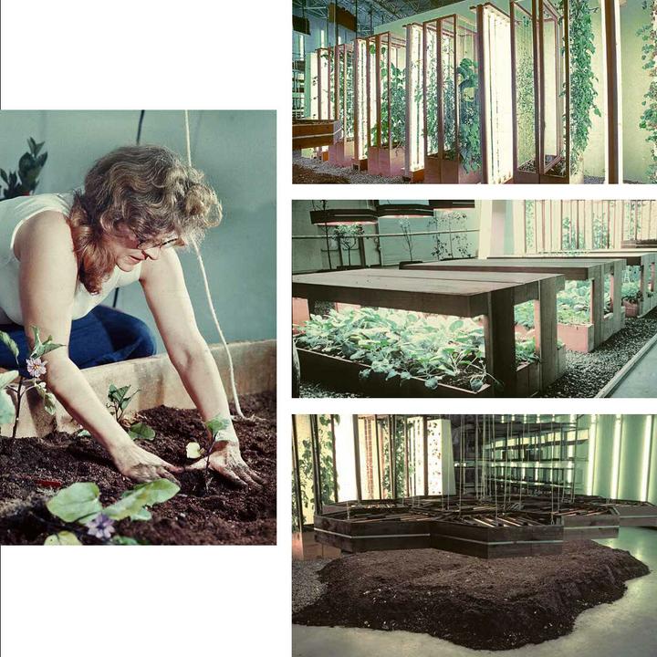 Actual product image Manolescu:Helen and Newton Harrison (English, Tatiana Sizonenko, Edward Shanken, 2024)