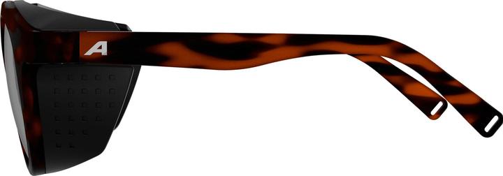 Produktbild ALPINA SPORTS Glace