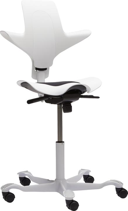 Actual product image HAG Capisco Puls 8010