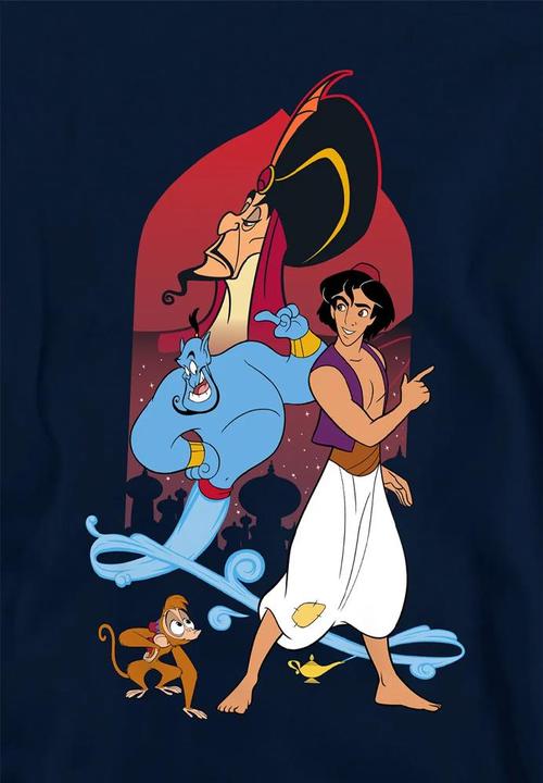Actual product image Aladdin Childrens/Kids Characters Pullover Hoodie (152, 158)