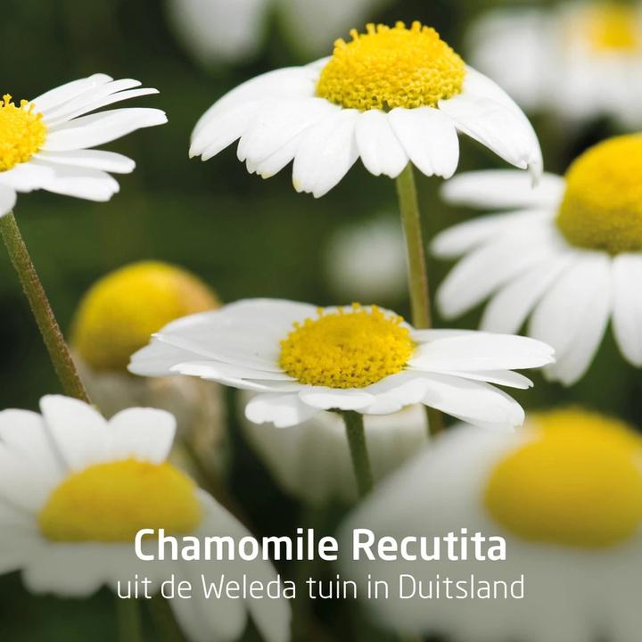 Immagine prodotto Weleda Gel per i denti delle piante (75 ml)