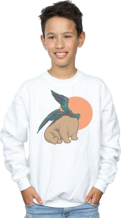 Actual product image Boys Shang-Chi And The Legend Of The Ten Rings Morris Pose Sweatshirt (128)