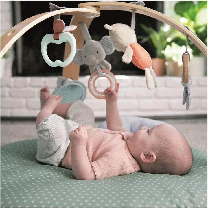 Actual product image Ingenuity Reversible duvet activity gym