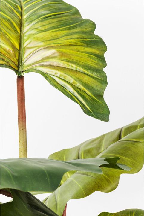 Produktbild Kare Design Rainforest (160 cm)
