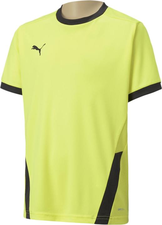 Actual product image Puma teamGOAL 23 Jersey jr-704160 (128)