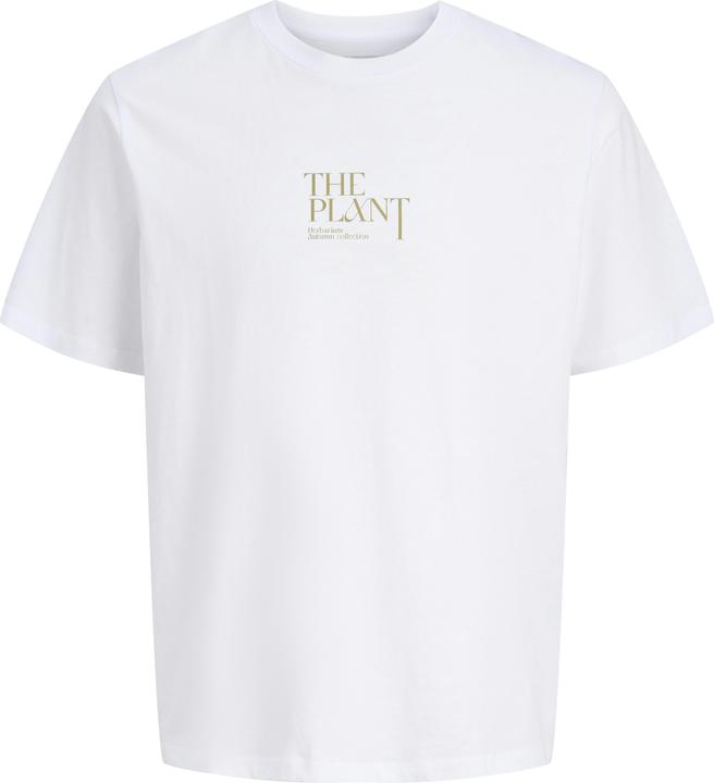 Actual product image Jack & Jones Jorbradley Herbarium Tee Ss C.N Stmss25 (XXL)