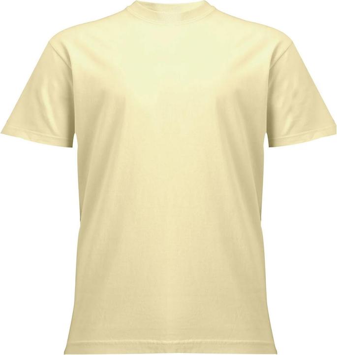 Produktbild Comfort Colors TShirt Schwer (L)