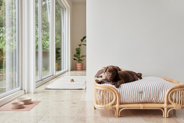 Immagine prodotto OYOY Zoo Otto (Cane)