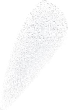 Actual product image Caudalie Rose De Vigne (Eau fraîche, 50 ml)