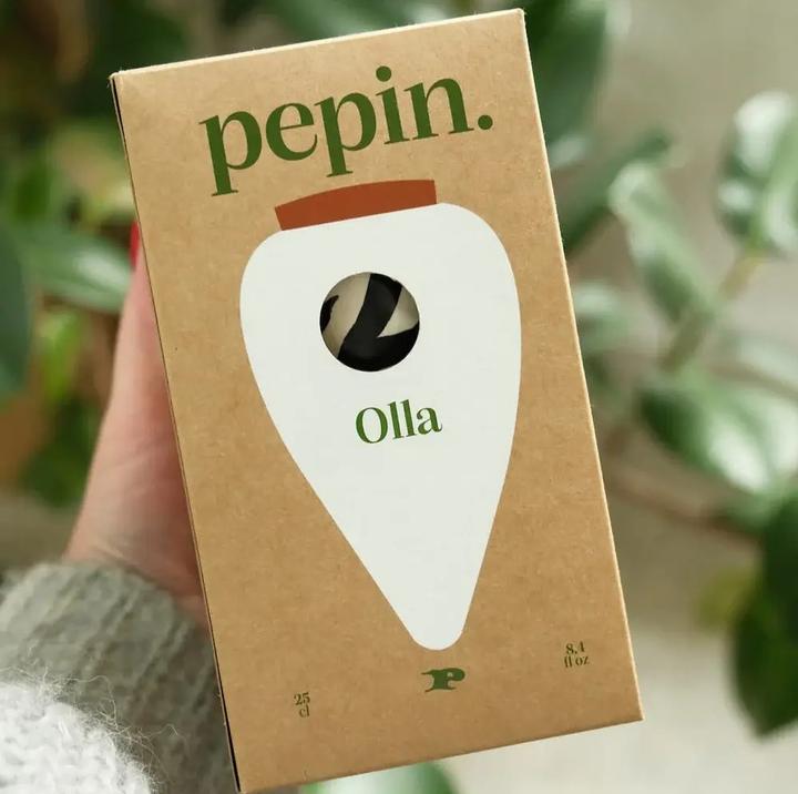 Image du produit Bewässerungskegel Olla Zebra (Cône d'argile)