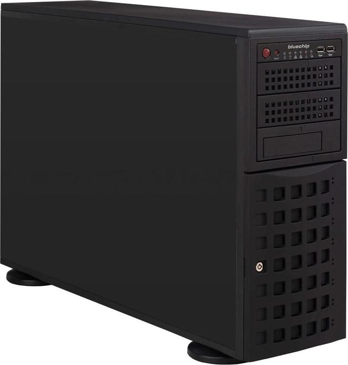 Bluechip SERVERline T40325s (32 GB, Tower Server)