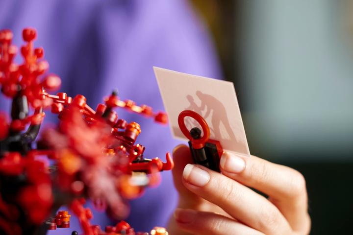 Image du produit LEGO Ideas Arbre généalogique (21346, LEGO Ideas, LEGO difficiles à trouver)