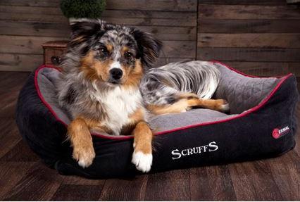 Produktbild Scruffs Thermal Kuschelbett (Hund)