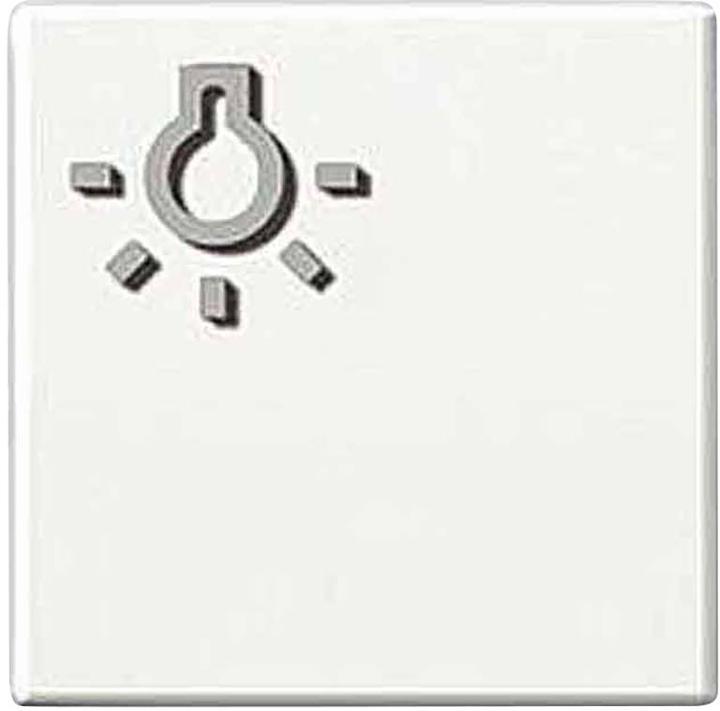 Actual product image Siedle S. & Soehne button with light symbol ws for TLM 611/612-01 W 200029096
