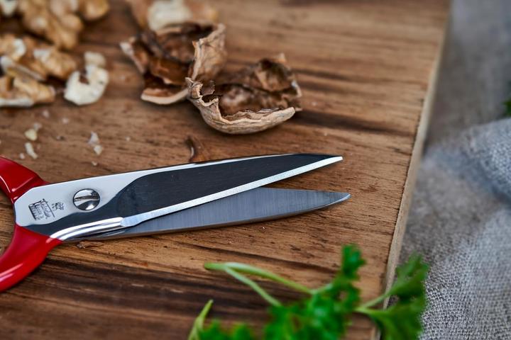 Immagine prodotto Zwilling Cesoie multiuso (20 cm)