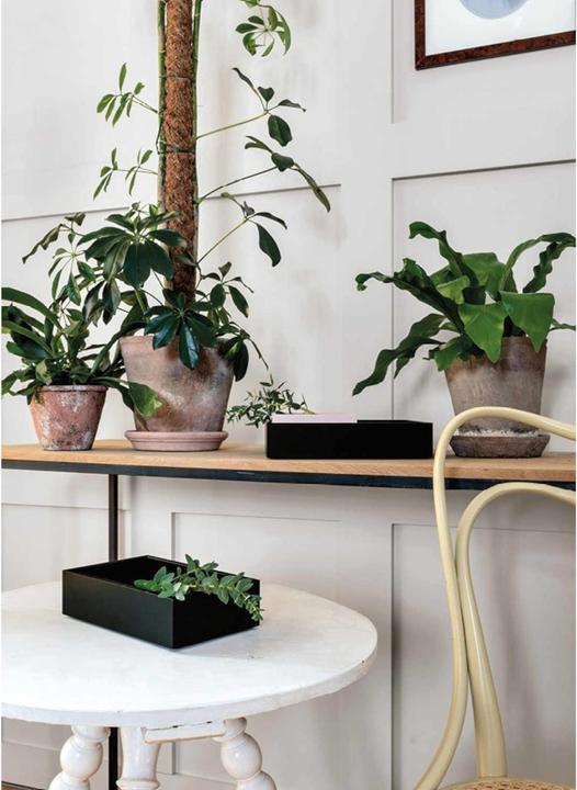 Actual product image Schönbuch Tally box