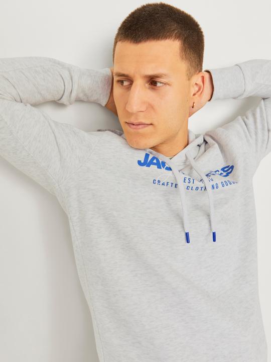 Image du produit Jack & Jones Jjalvis Sweat Hood (M)