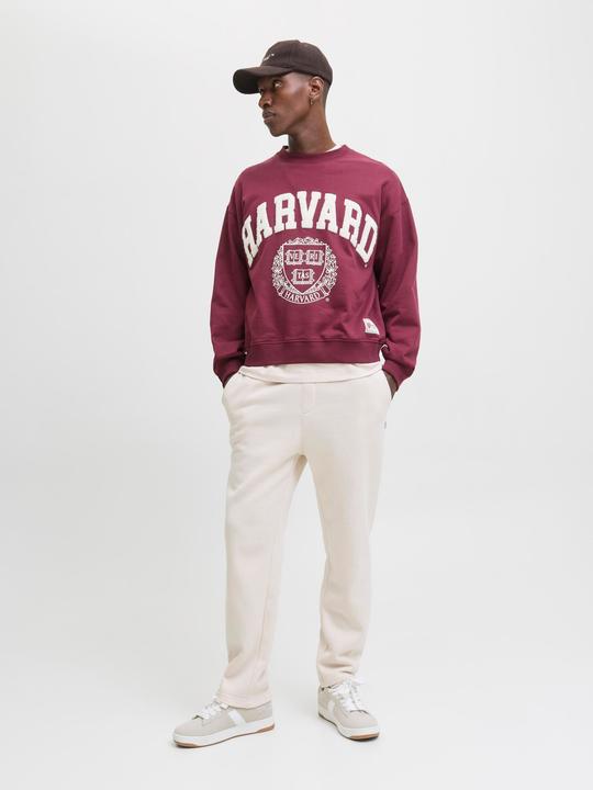 Produktbild Jack & Jones Jpstkane Bradley Uncuffed Swt Pants Noos (L)