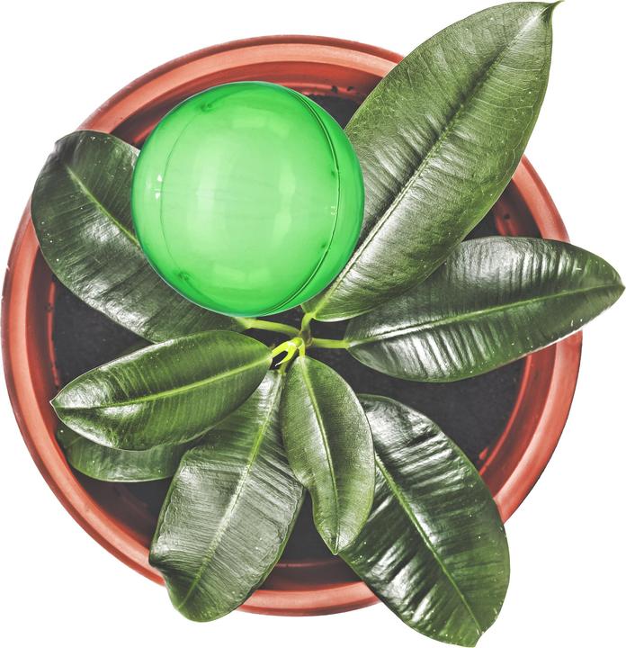 Actual product image Relaxdays Watering Globes, Set of 4 (Irrigation balls)