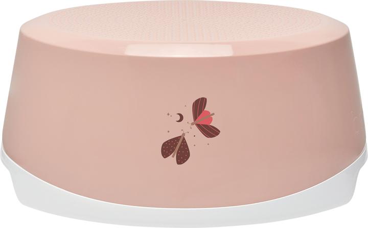 Sweet Butterfly