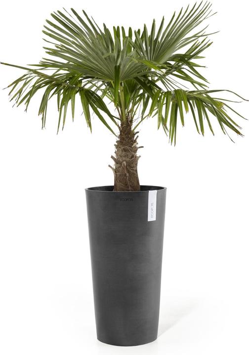 Immagine prodotto Ecopots Amsterdam High (41 x 76 cm)