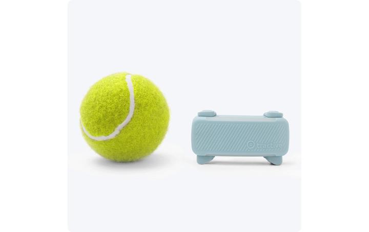 Immagine prodotto Tractive GPS Tracker Dog 6 (Cane)