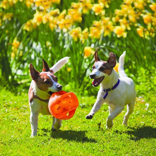 Produktbild KONG Jumbler (Ballspielzeug Hund)