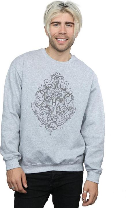 Image du produit - Sweat HOGWARTS DRACO DORMIENS CREST - Homme (M)
