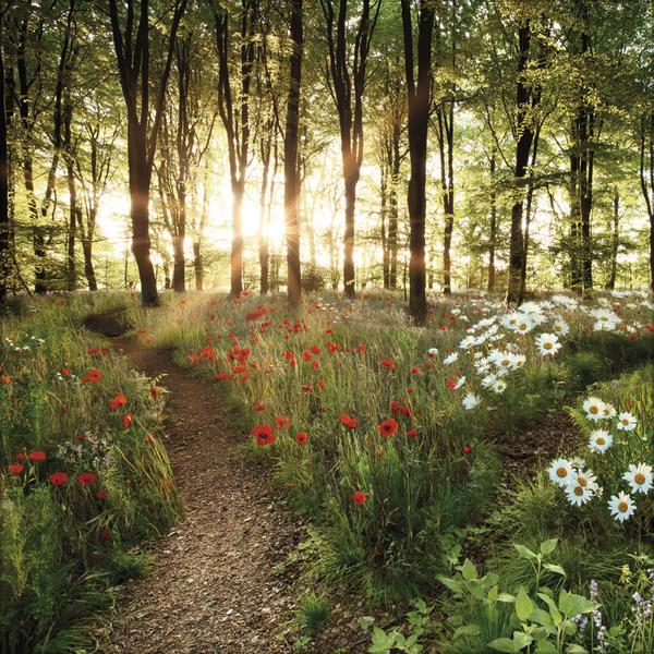 Actual product image Augenblicke der Stille 2026 (30 x 30 cm)