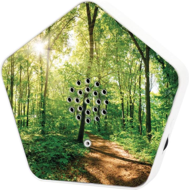 Produktbild Olympia Olymp Nature BOX