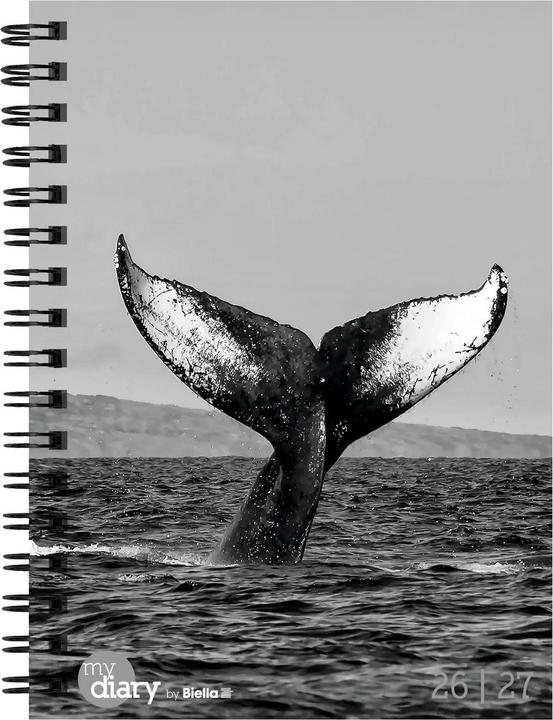 Image du produit Biella Agenda scolaire mydiary Wire-O (12 x 16,5 cm, 1 semaine / 2 pages)