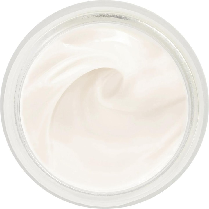 Actual product image Sisley Moisturizer (50 ml, Day cream)