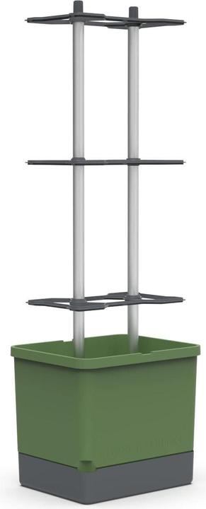 Actual product image Gusta Garden Growing pots Charly Chilli XL Dark green