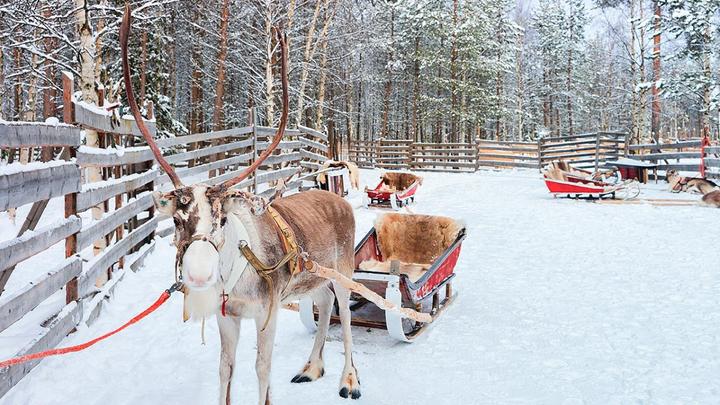 Image du produit Visite du Père Noël
