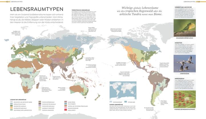 Actual product image Asher:Wilde Welten (German, Tom Jackson, Dr Claire Asher, Dr Julia Schröder, Derek Harvey., Michael Kokoscha, Claudia Franca de Abreu, Dr Rebecca Green, DK Publishing House, 2025)