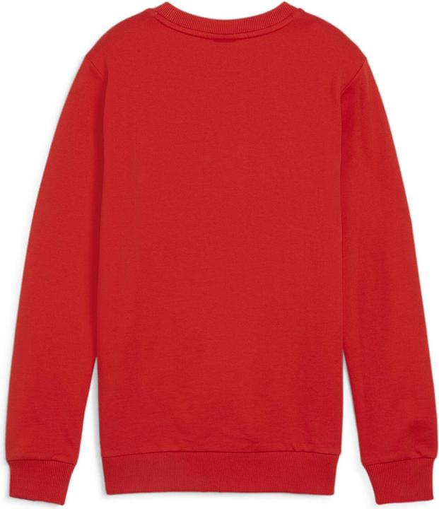 Actual product image Puma teamGOAL Casuals Crew Neck Sweat Jr (152)