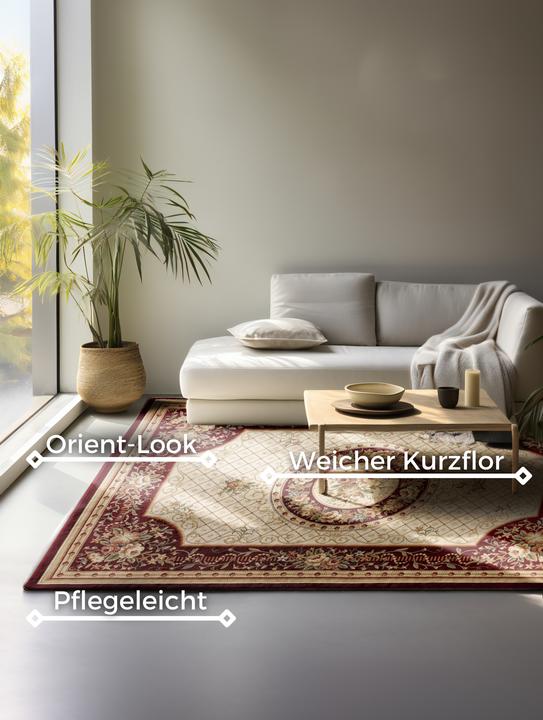 Immagine prodotto Hanse Home Adraskan (120 x 80 cm)