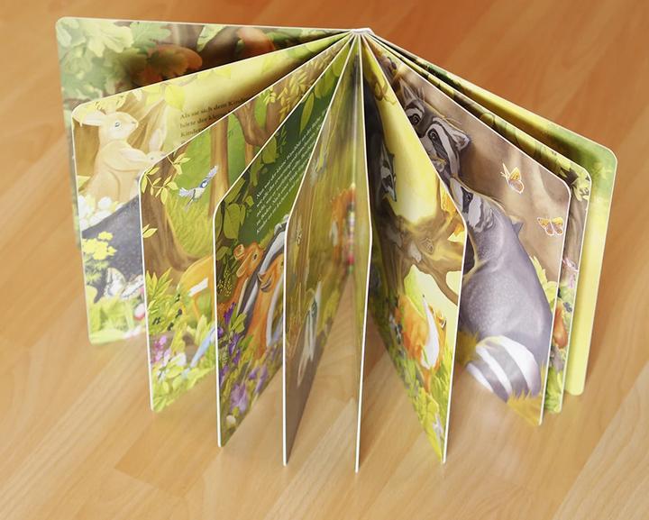 Produktbild Der kleine Waschbär traut sich was – ein Bilderbuch für Kinder ab 2 Jahren (Deutsch, Lea Kässmann, 2021)