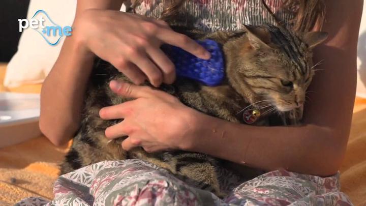 Image du produit Pet+Me Brosse (Chien, Chat)