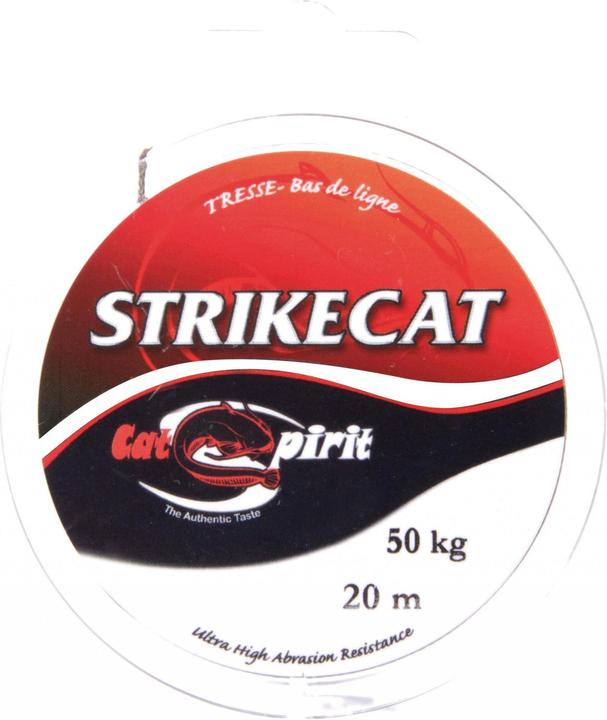 Cat spirit Strike Cat