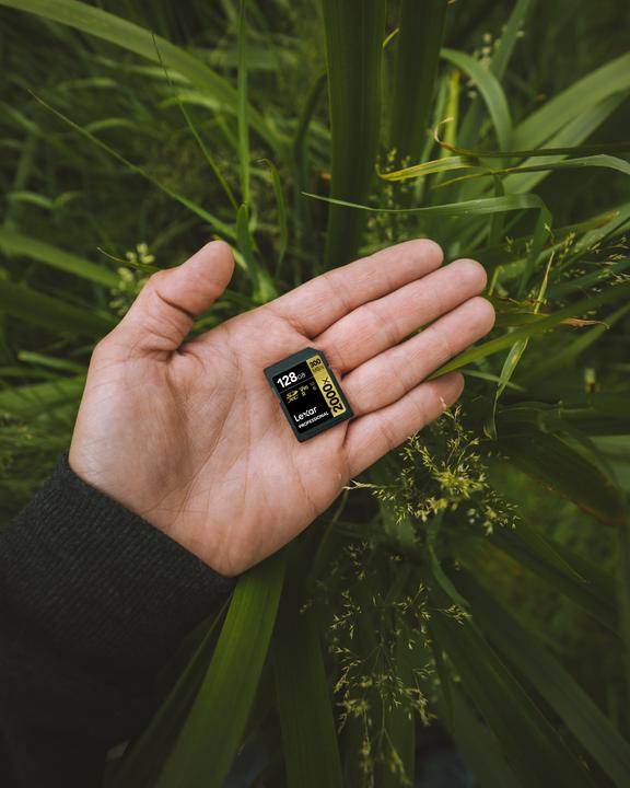 Image du produit Lexar Professional Gold 2000x (128 Go, SDXC, U3, UHS-II)