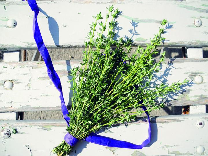 Immagine prodotto Zollinger Bio Timo (perenne)