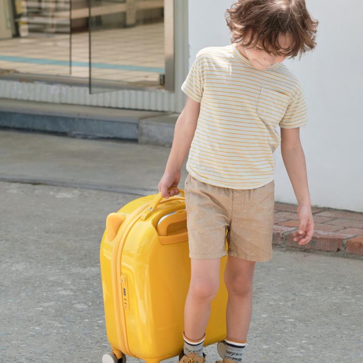 Actual product image Travel Buddies Dog