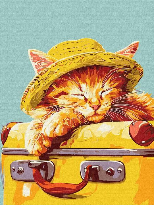 Produktbild Ideyka Malen nach Zahlen - Schlafende Katze 30 x 40 cm